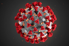 illustration of the COVID-19 virus